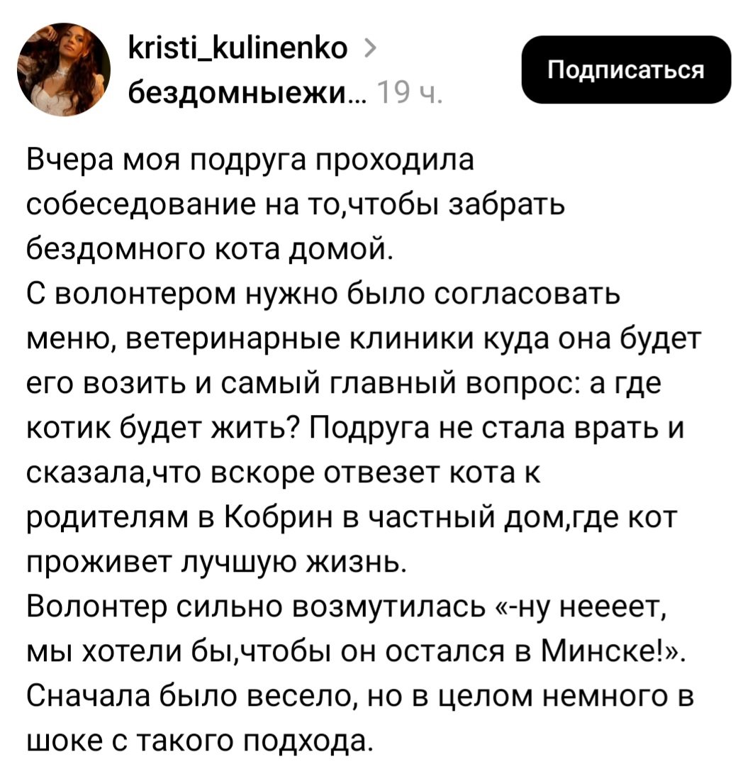 Мрак и котики 🐾 tweet media