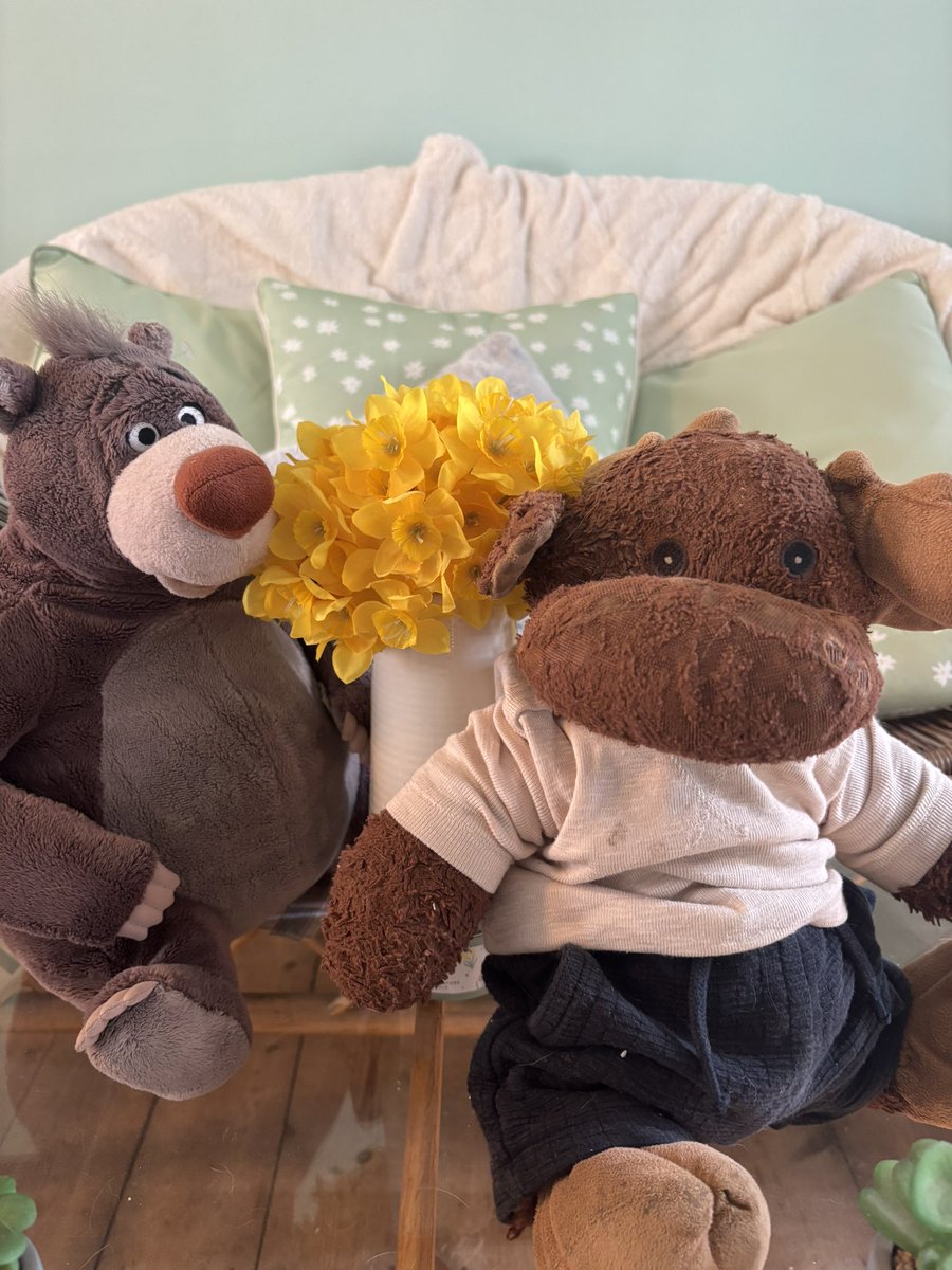 TheWaddells74 tweet media