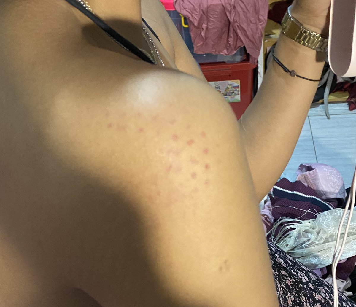 pinka ⚢🐇 tweet media