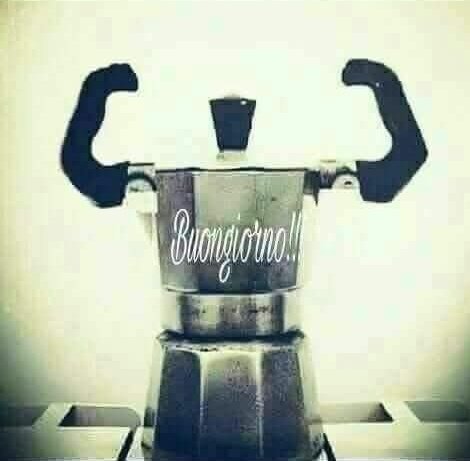 Maura 🍀🇺🇸🇮🇪🇲🇽 🌛🌝🌜💙 tweet media