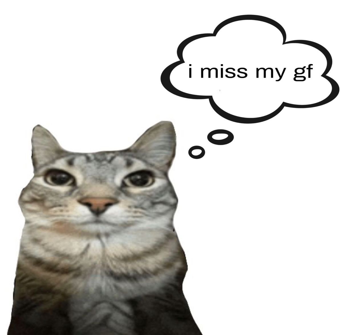 𝓛𝓮𝓮. tweet media