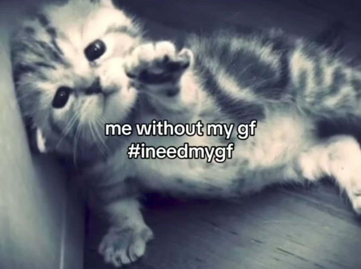 𝓛𝓮𝓮. tweet media