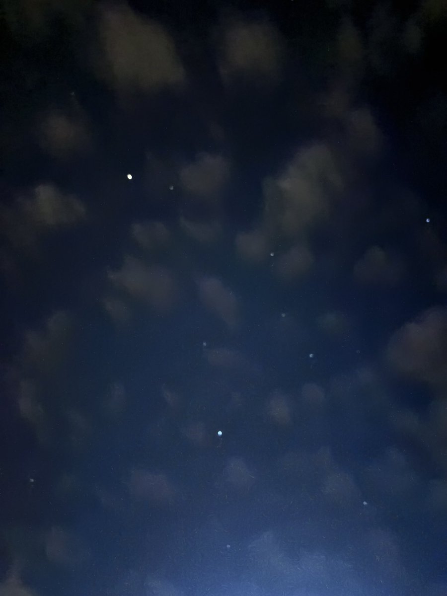 отчаянная домохозяйка🤭 tweet media