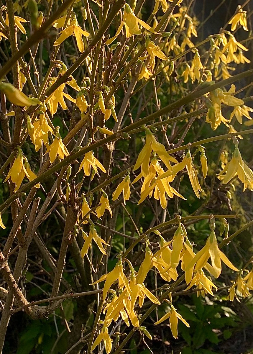 jonbruce tweet media