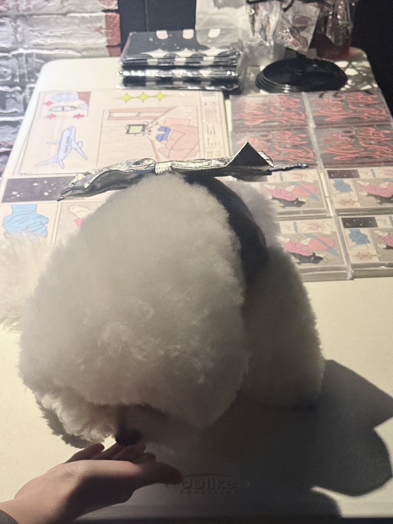 titi ｡｡ tweet media