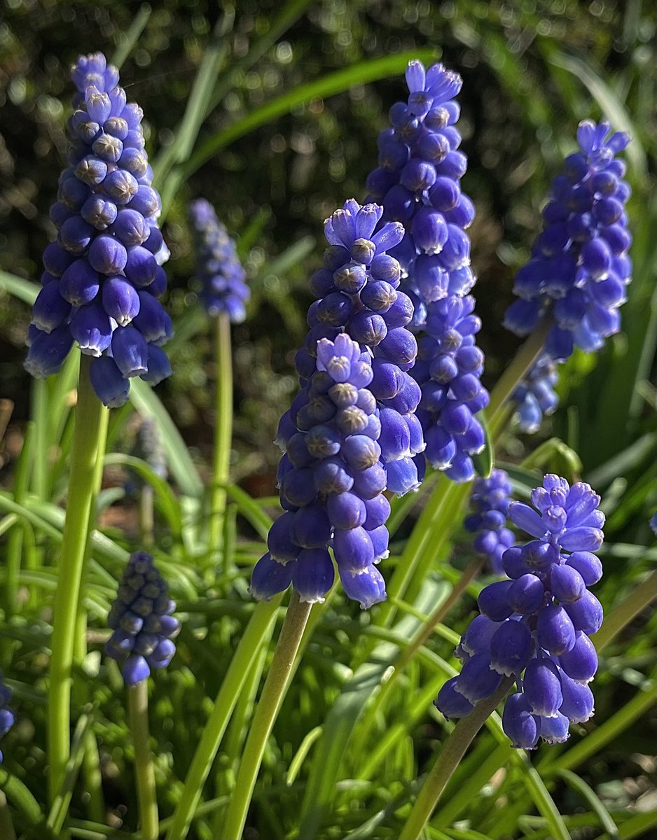 jonbruce tweet media