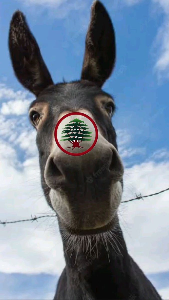 Hawraa🌻 tweet media