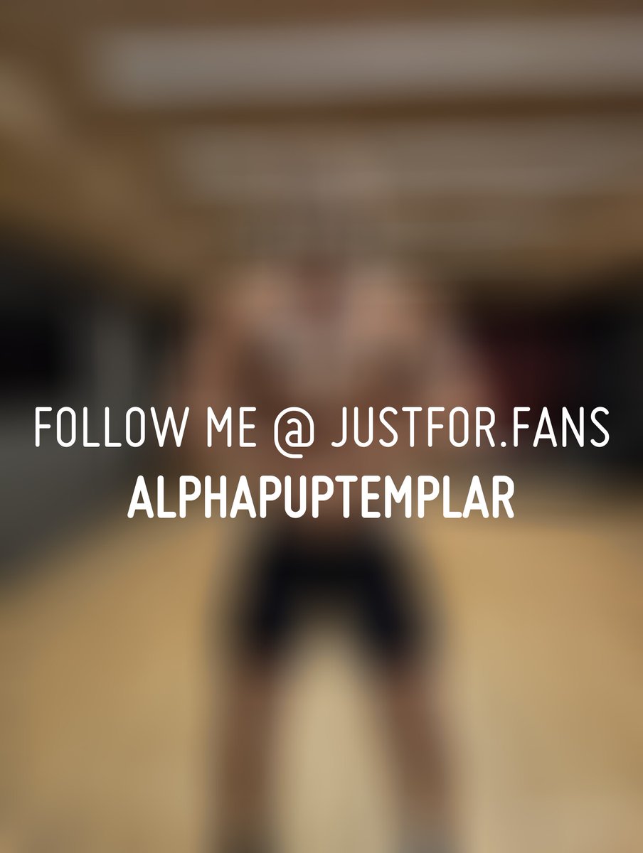 Alpha Pup Templar tweet media