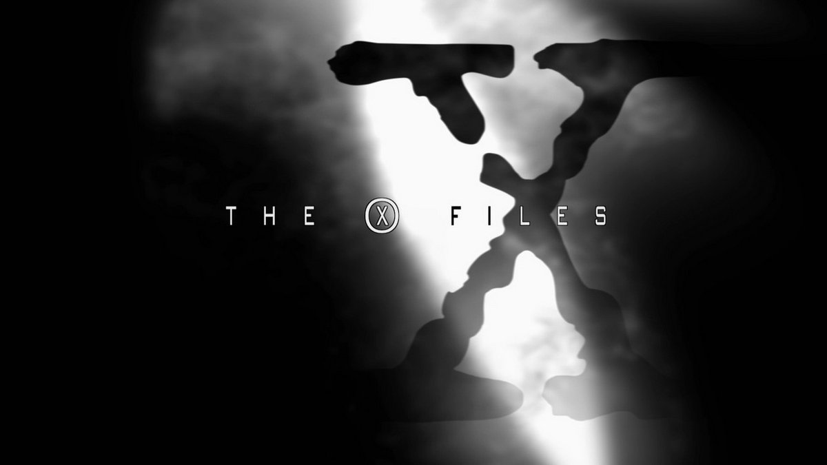 mandy loves dodgerfox 🫧 tweet media