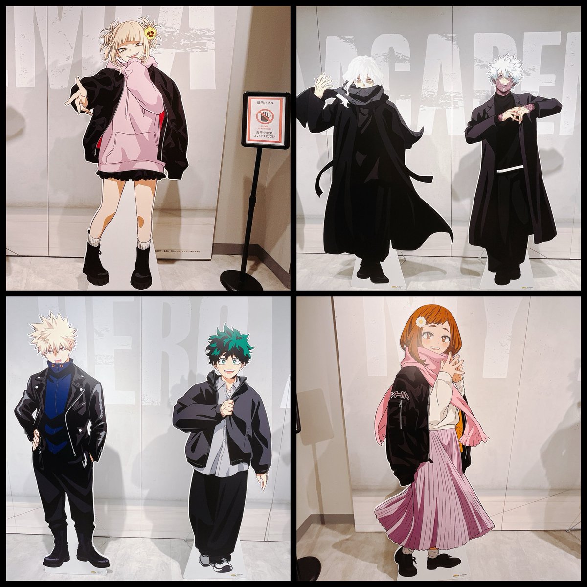 ぴん🐻 tweet media