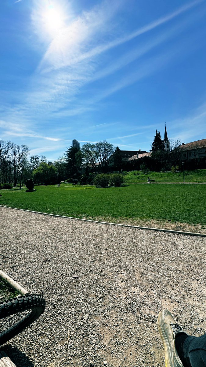 Max Mucko tweet media