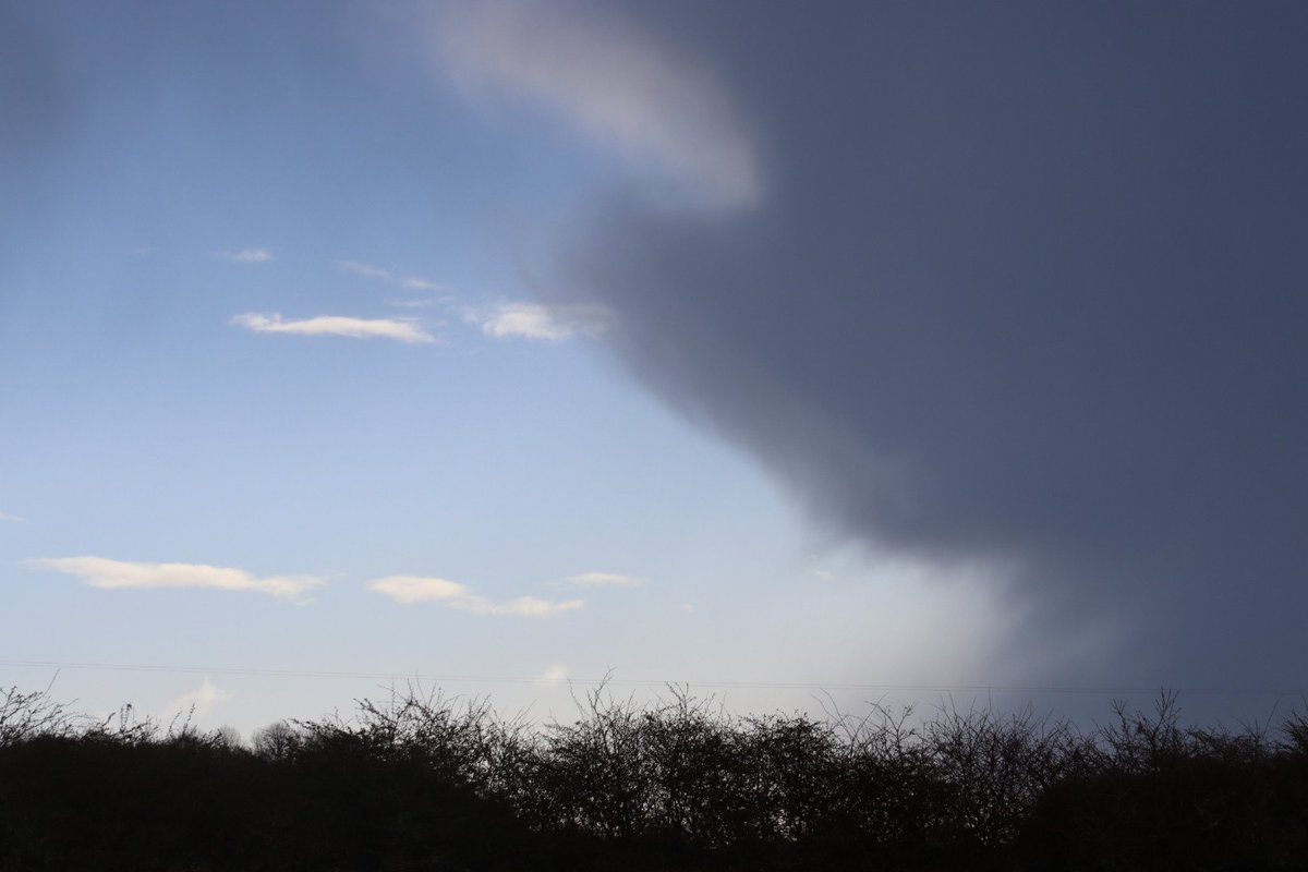 BM Malone tweet media