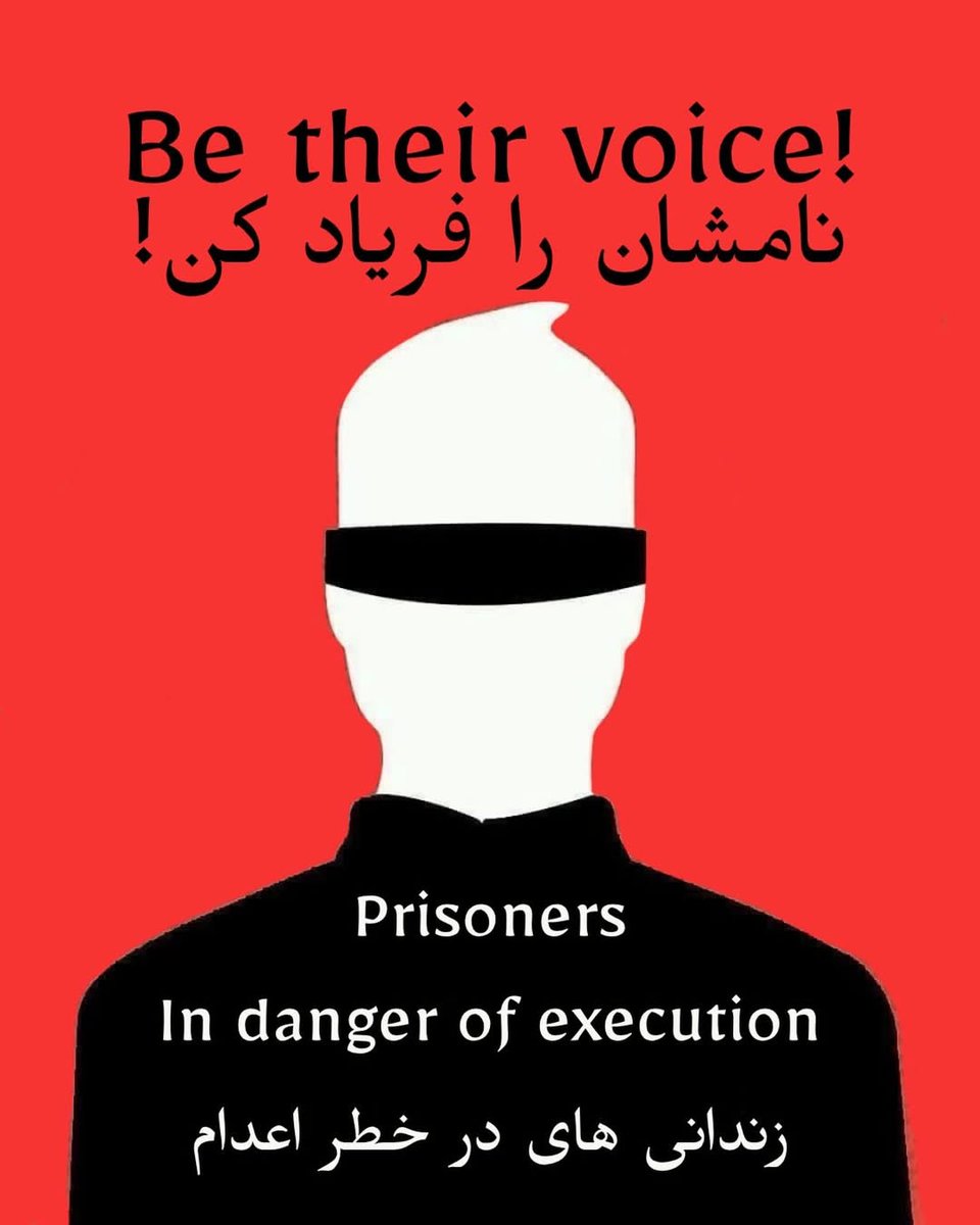 Malka L. Koenig tweet media