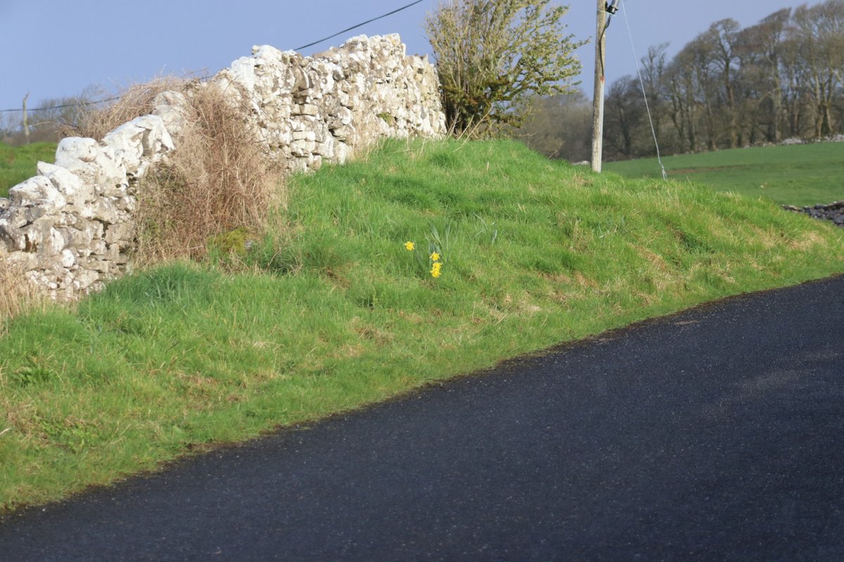 BM Malone tweet media