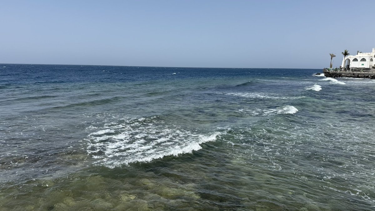 الصحية شهّد tweet media