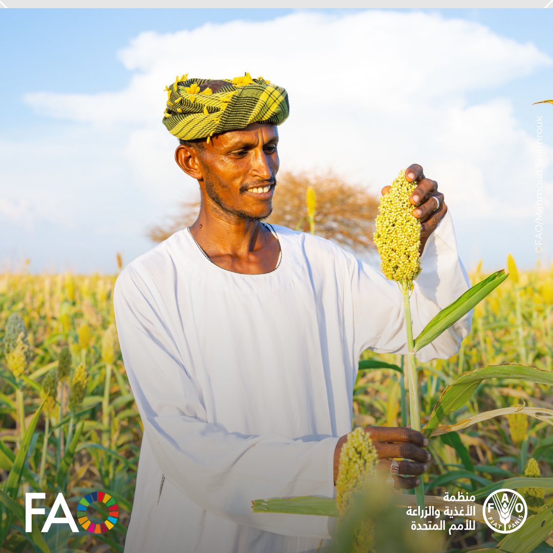 الفاو في الشرق الأدنى وشمال أفريقيا tweet media