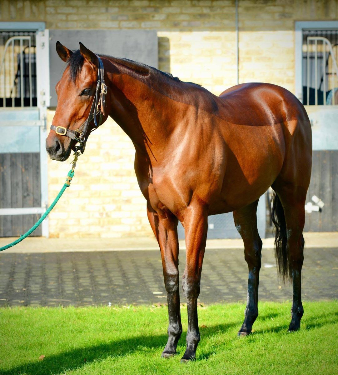 William Knight Racing tweet media