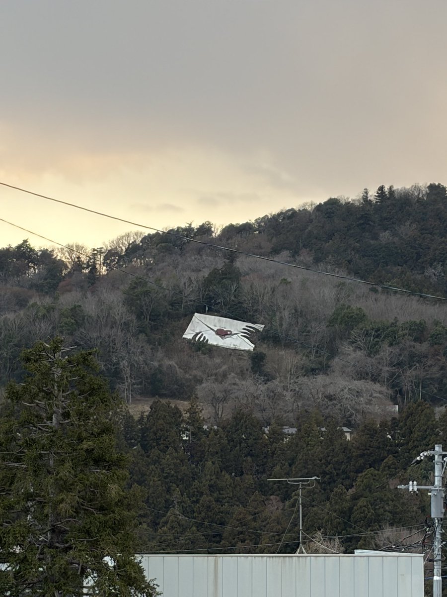 藤野こころ tweet media