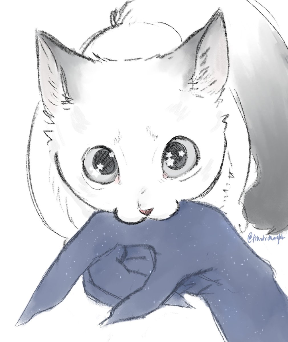 lee loves cat kdj 🐟🦑🔄❌❌❌ tweet media