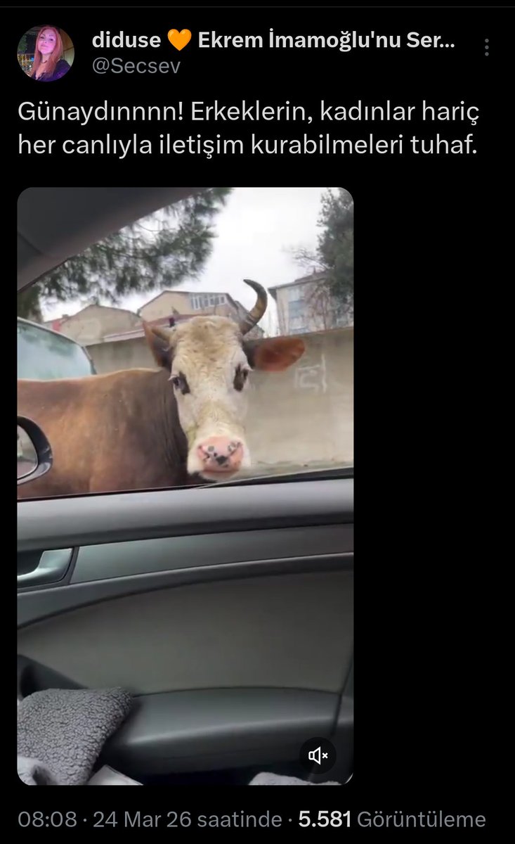 diduse 🧡 Ekrem İmamoğlu'nu Serbest Bırakın tweet media