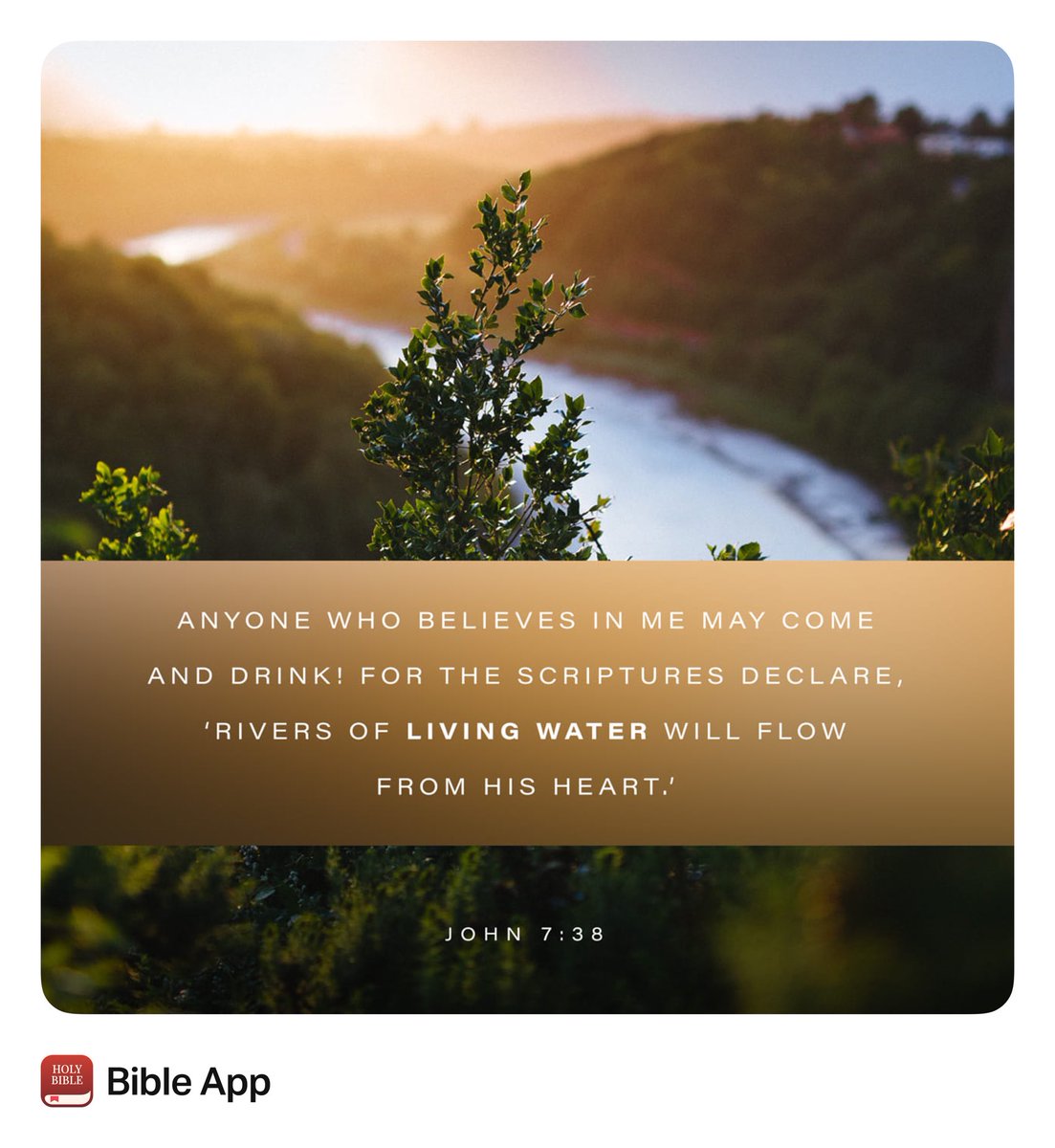 Christian Sports Med tweet media