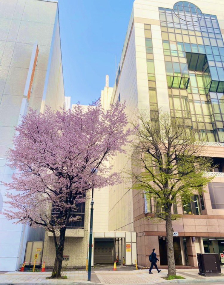 ｽﾃｷｻｶｲ/自宅に椅子が35脚 tweet media