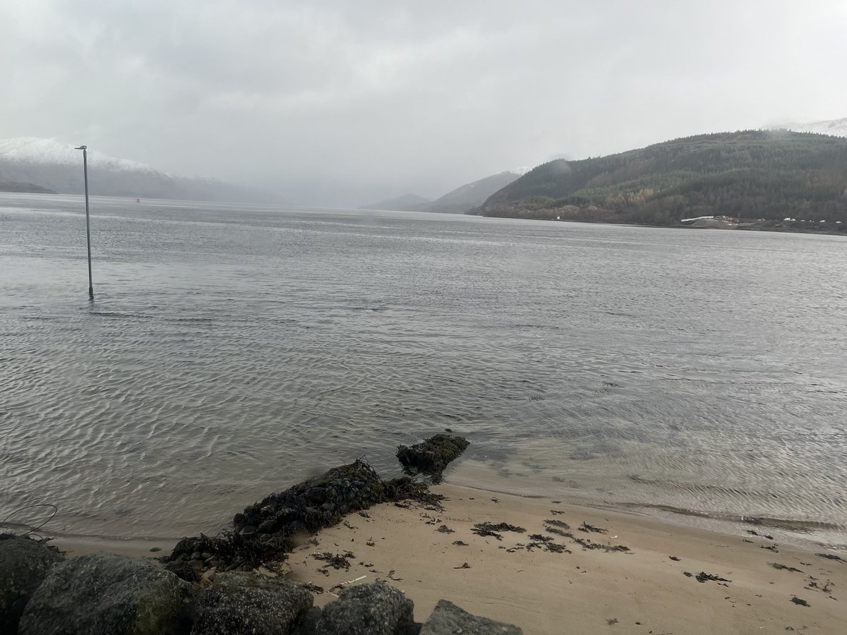 Mrs Savva (Meimaroglou) tweet media