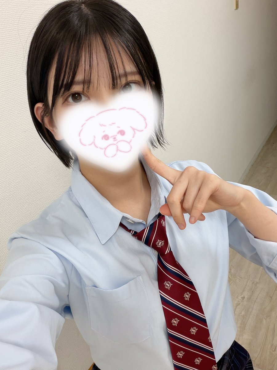 楽しいチワワライフ tweet media