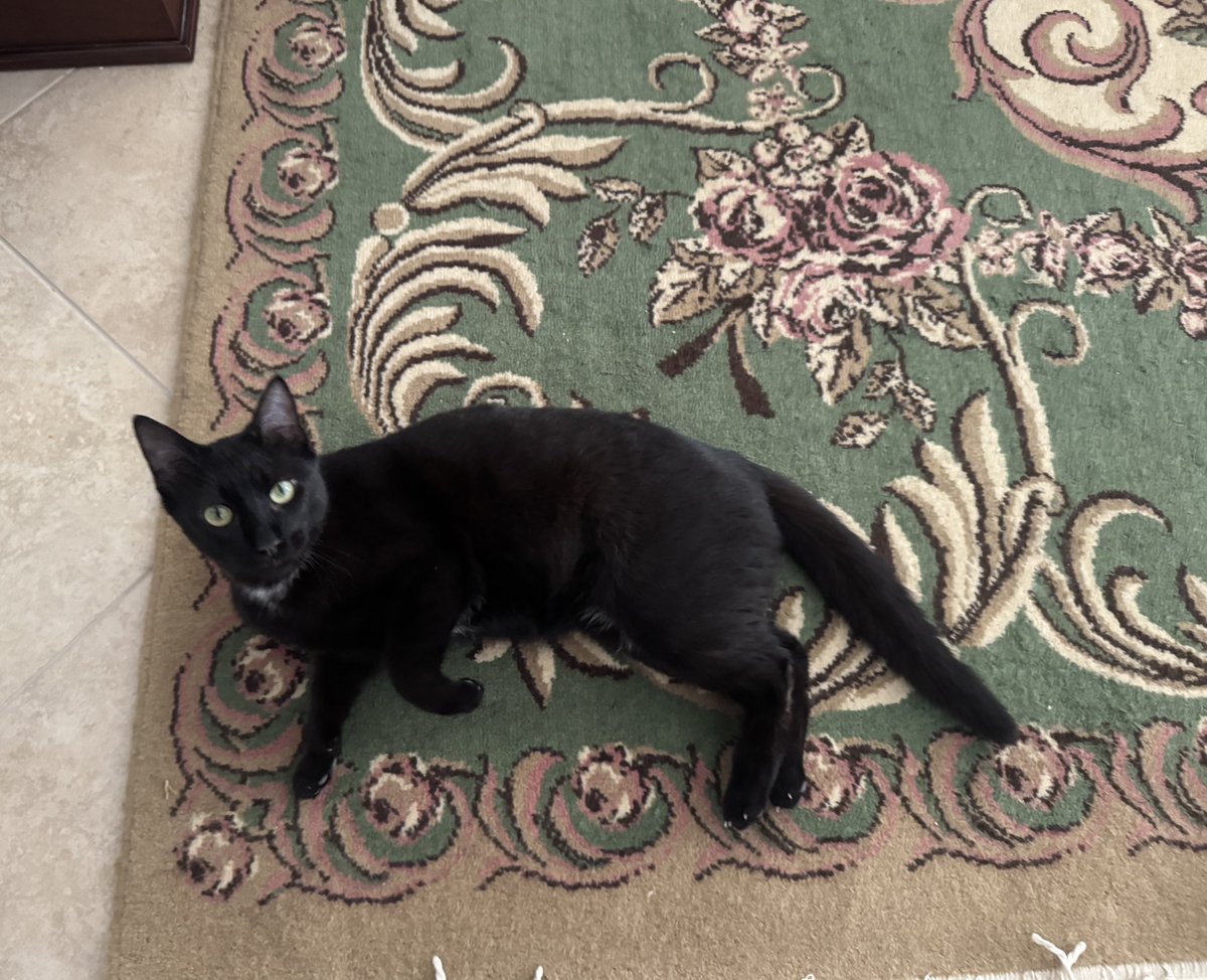 Πρόεδρος Λέσχης tweet media