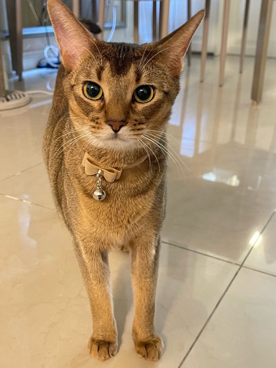 ลีออน : วันไหนพี่กลับมาหุ่นเท่านี้ ใครที่ยังเรียกพี่ว่าหมา ช้าง หมู พี่ขอไม่หันนะครับ