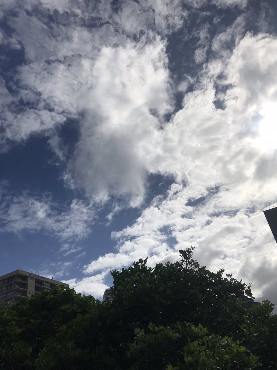 🇦🇺 Swin tweet media