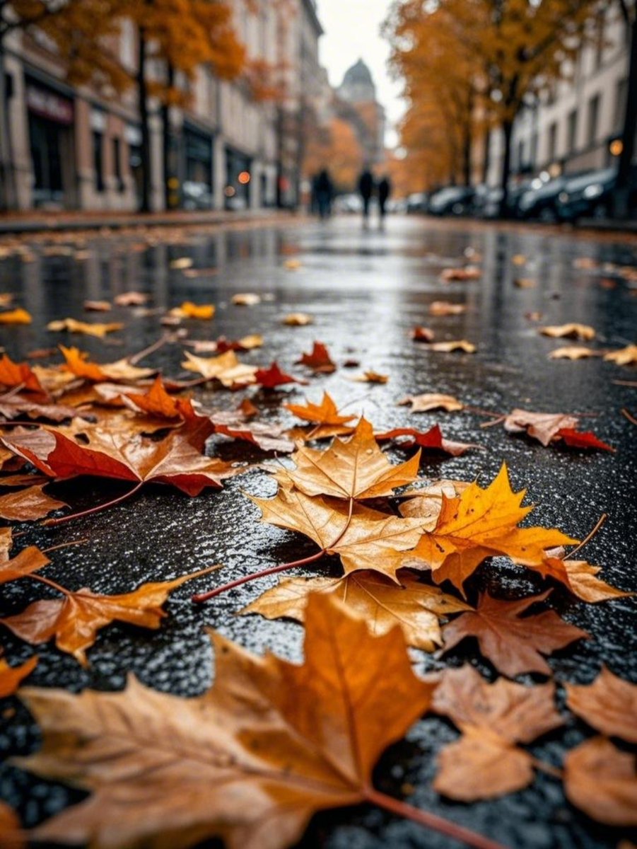 Dylan Ostergreen tweet media