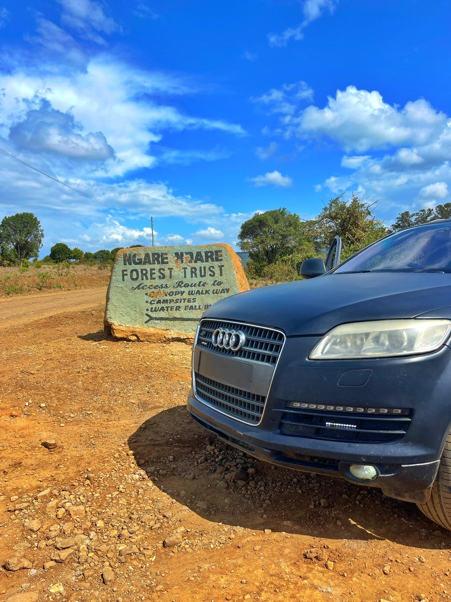 Moseax ✈ 🧳 tweet media