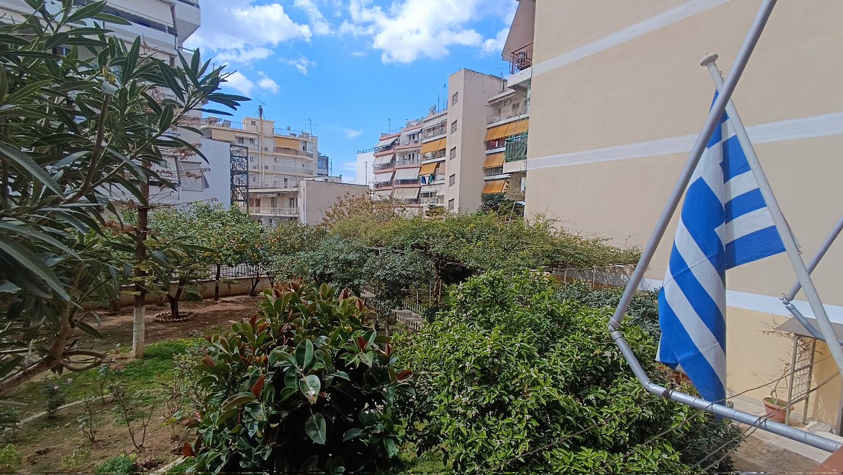 Eva Filippopoliti tweet media