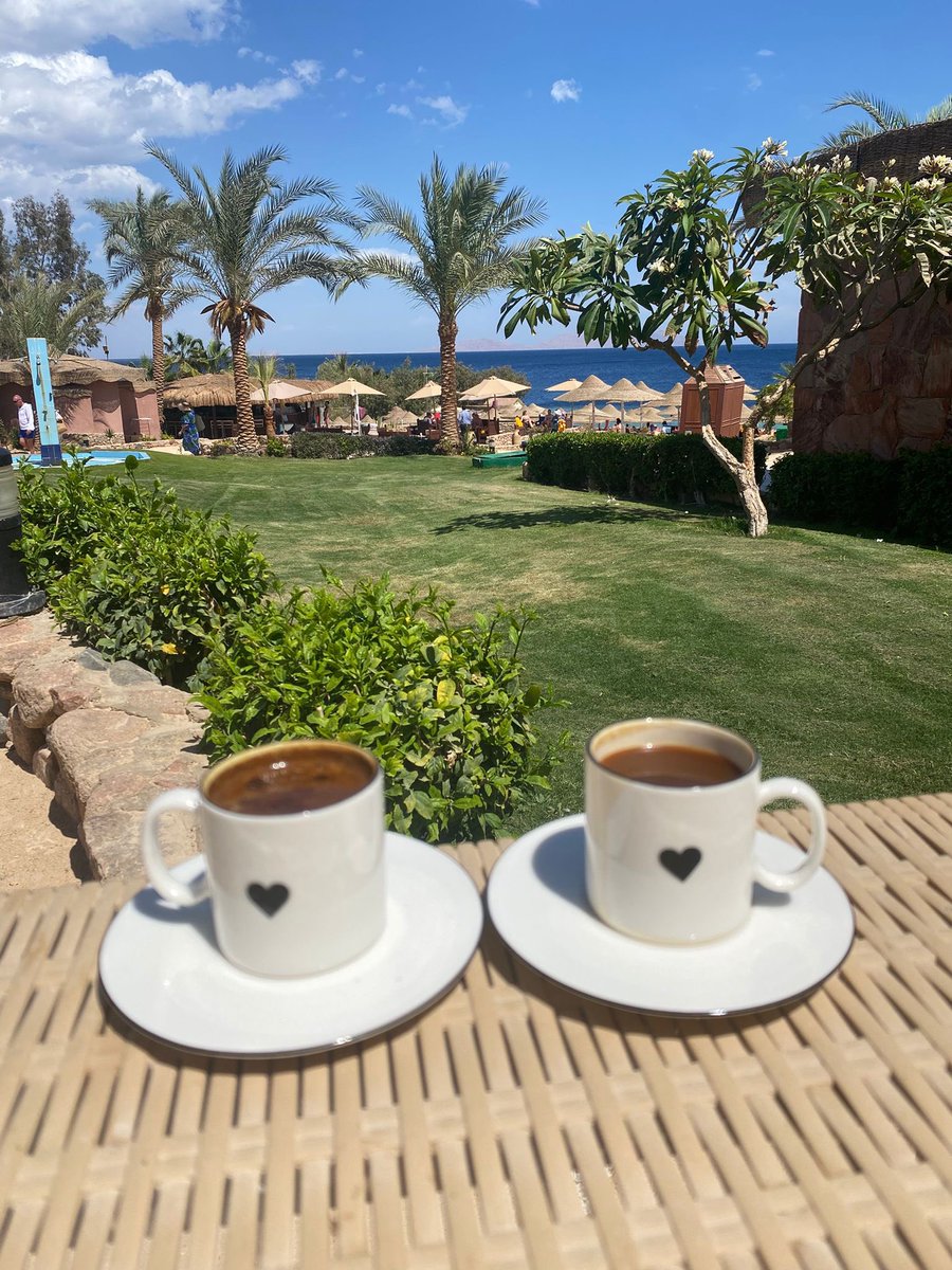 Ali Doğdu tweet media