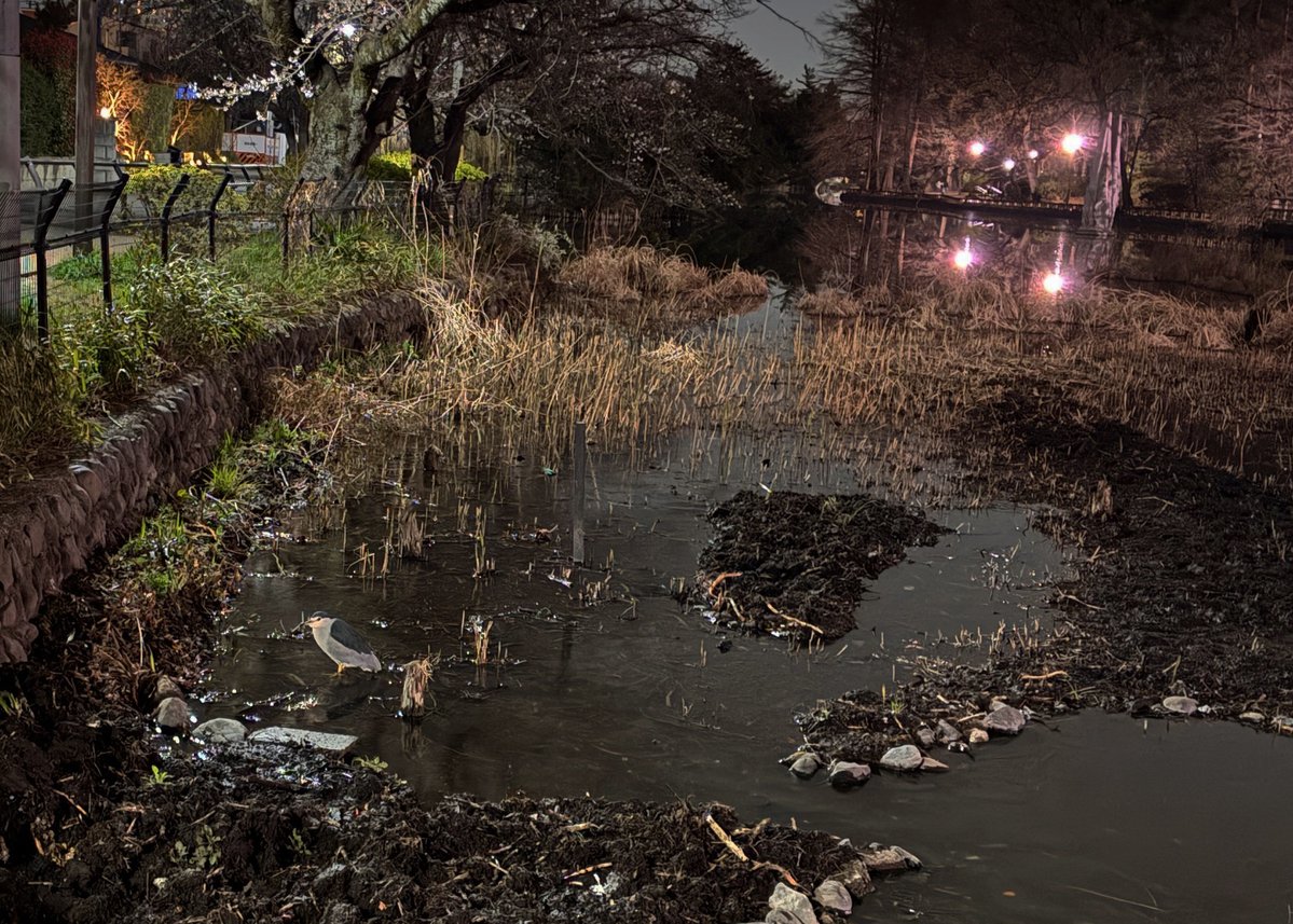 SATO Masahiro tweet media