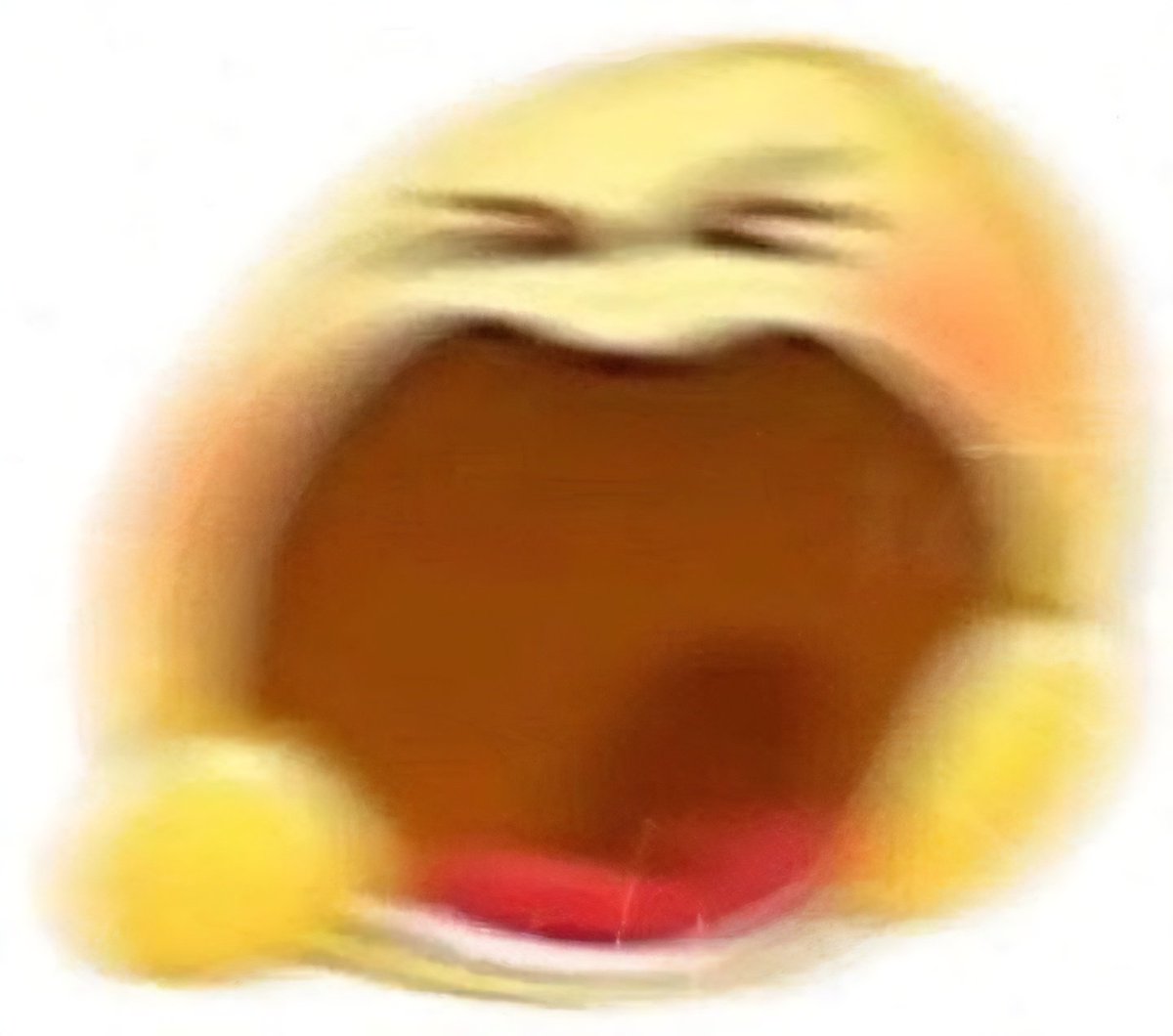 도댕, ᡣ • ᴥ - 𐭩৴♡*৹ tweet media