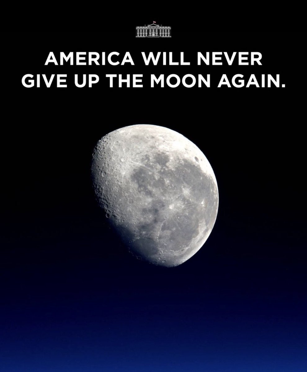 Michelle tweet media