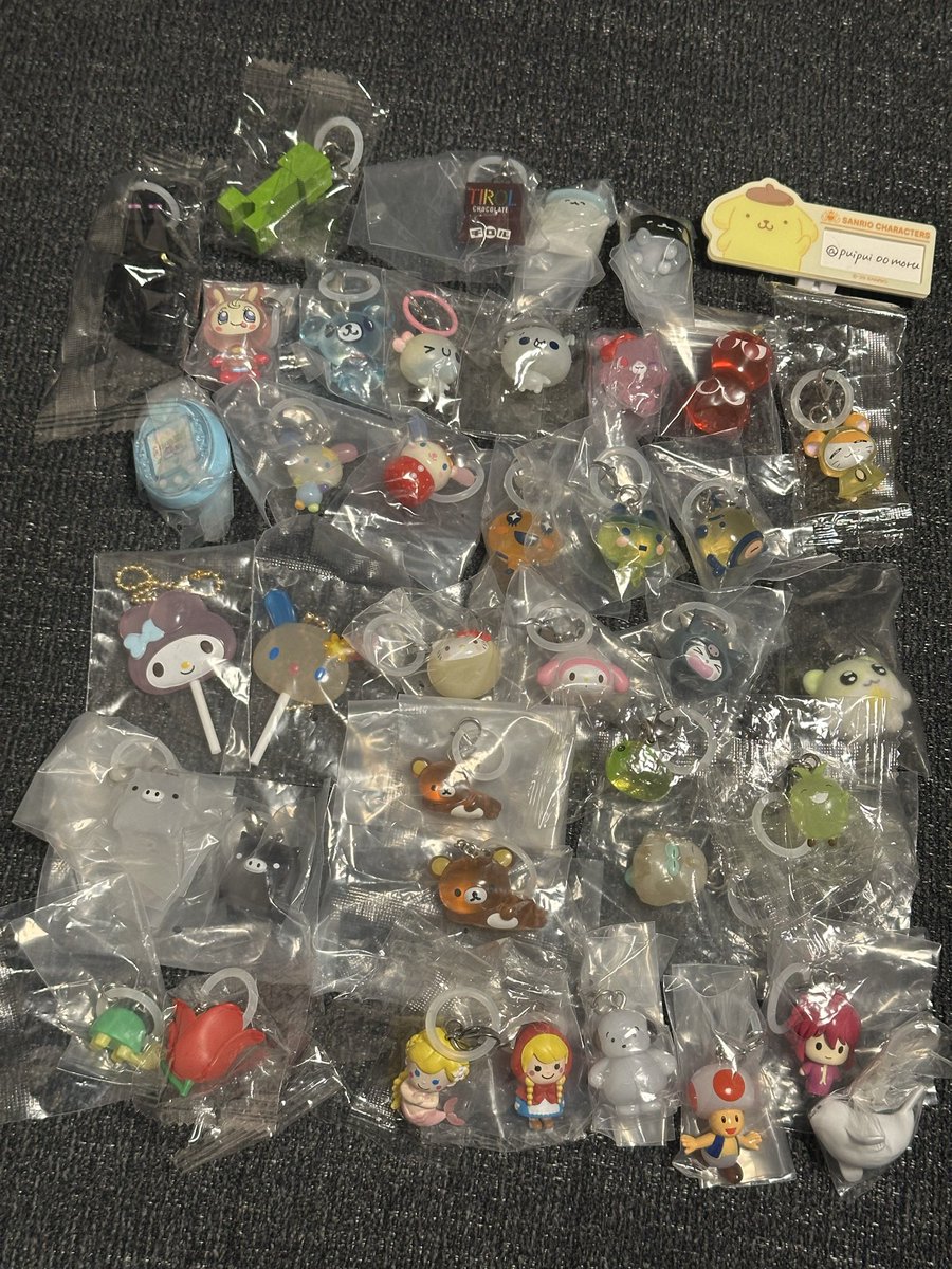 まーる🐻‍❄️固定あり tweet media