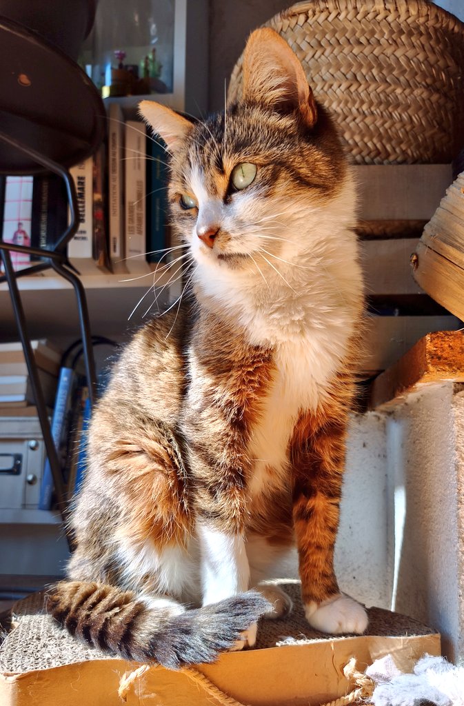 Grotakrout tweet media