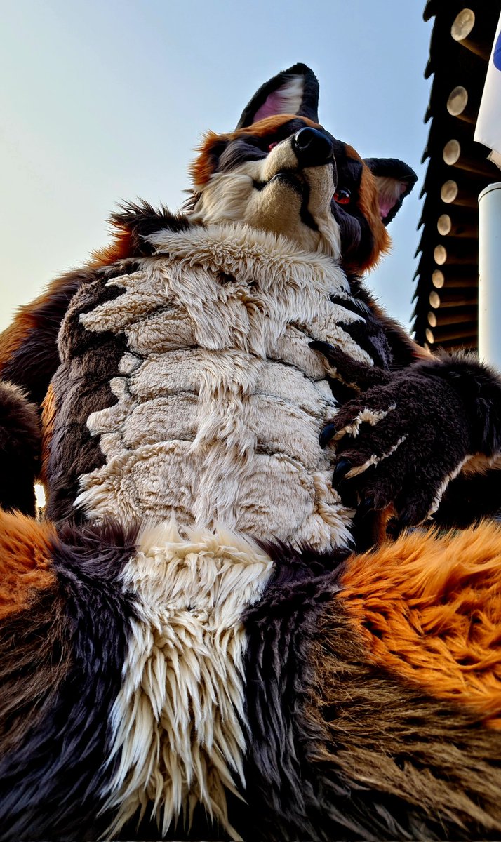 Sparrow🐦 ➡️Furstclass tweet media