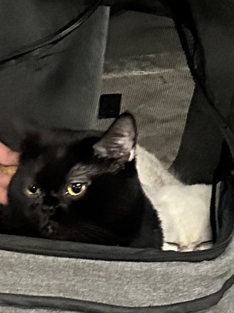 Keluarga Yuki tweet media