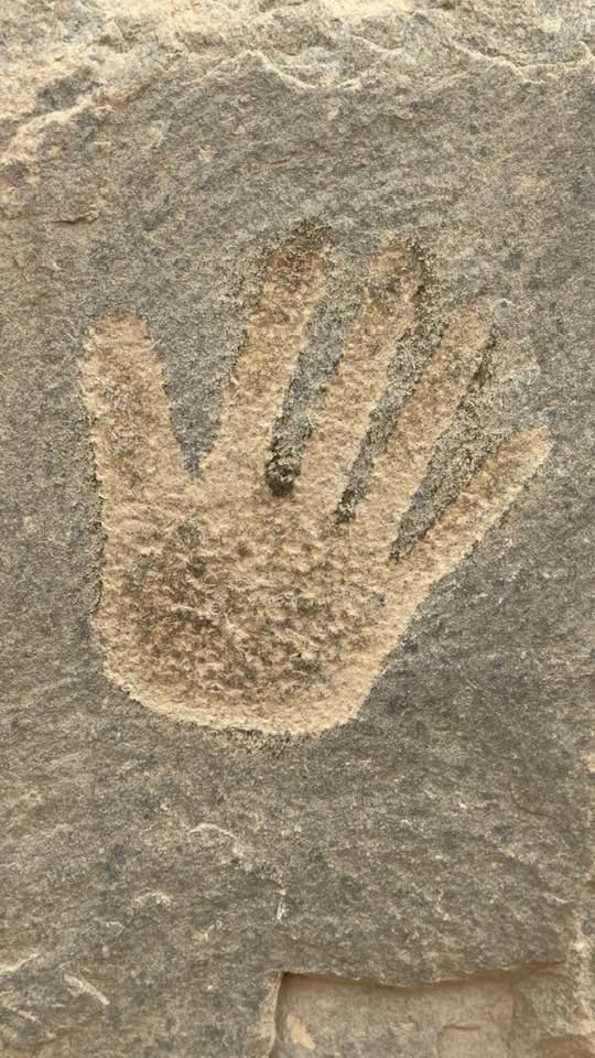 سلمى 🇸🇦 tweet media