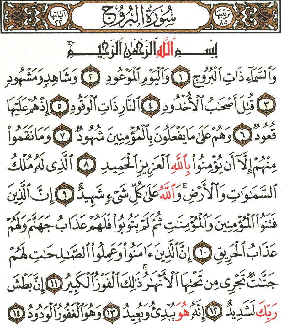 سلمى 🇸🇦 tweet media