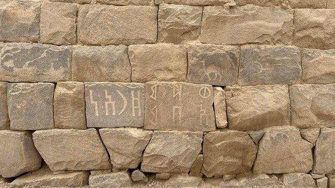 سلمى 🇸🇦 tweet media