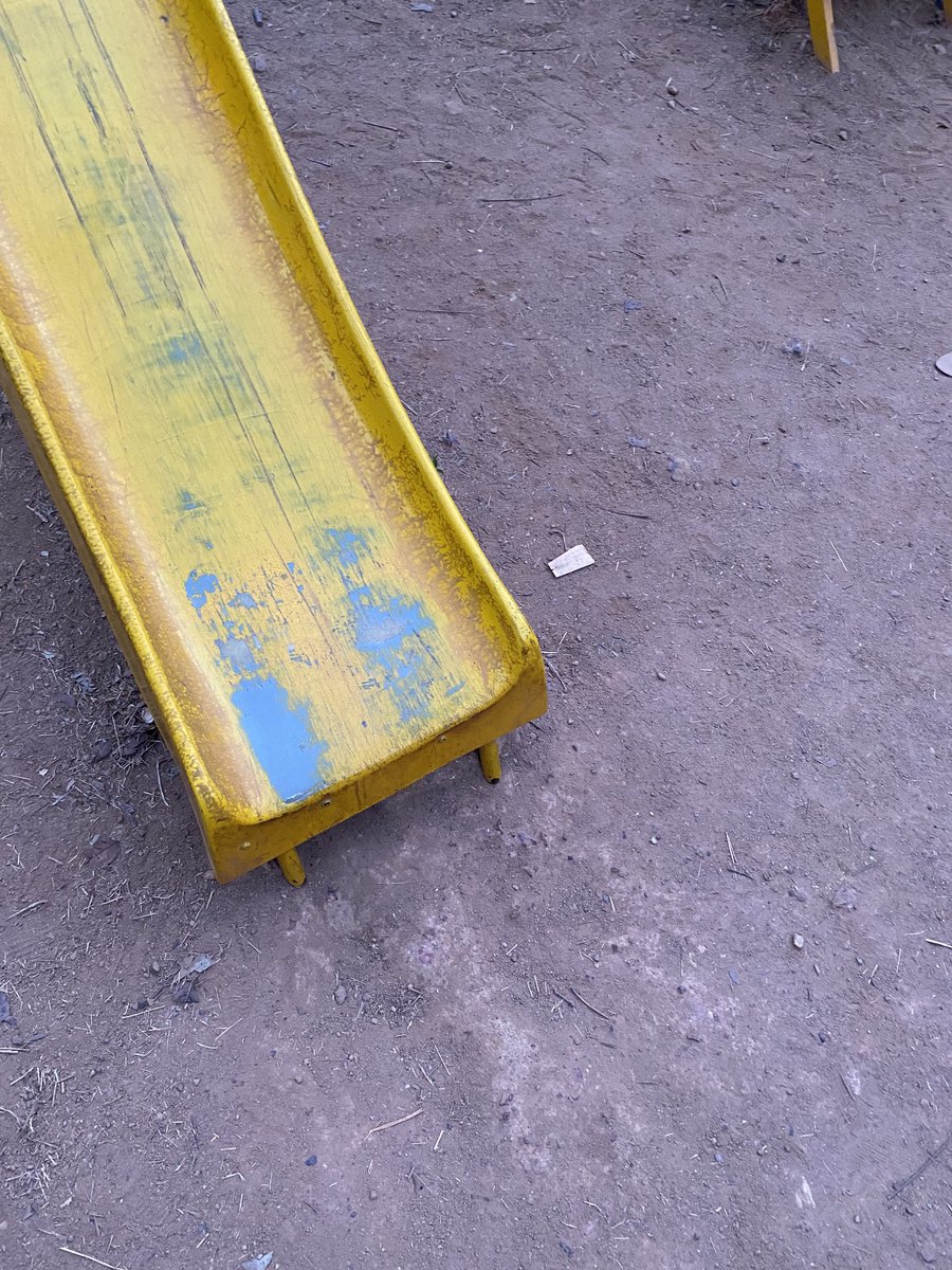 Gaushith tweet media