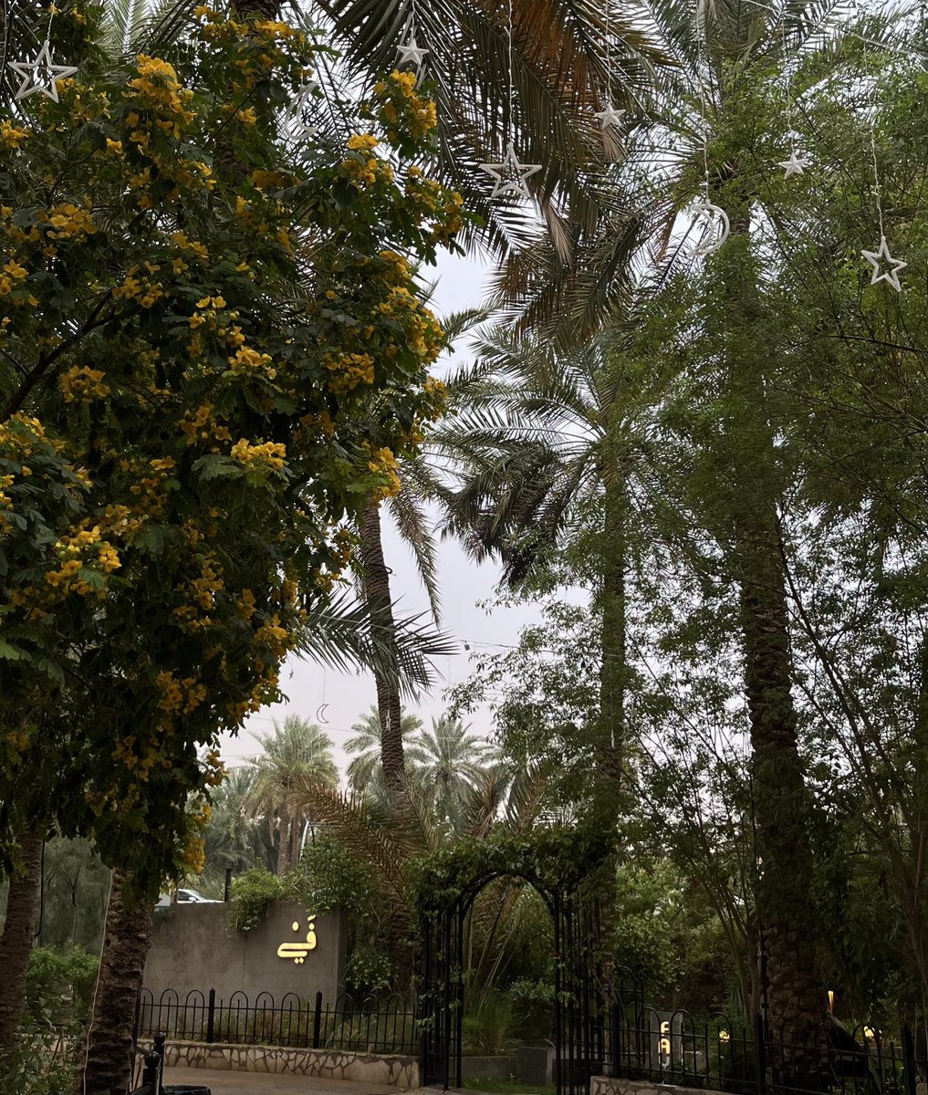 رائد tweet media