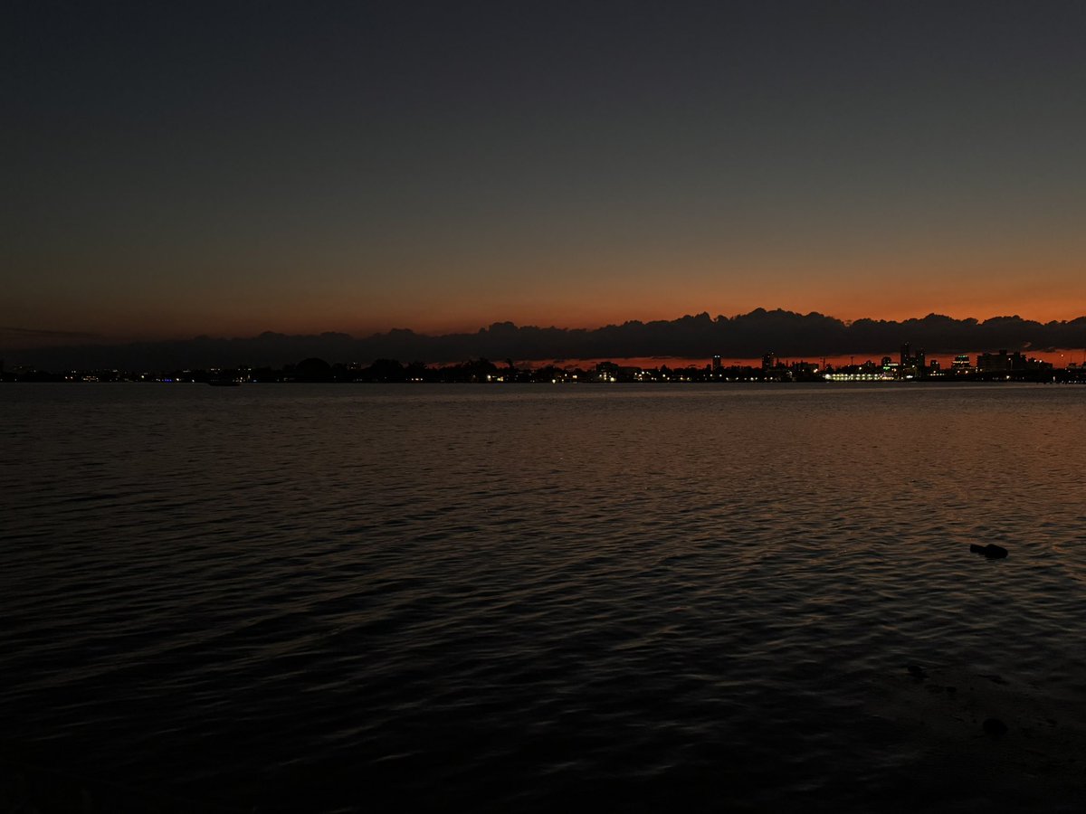 The Designated Gentleman tweet media