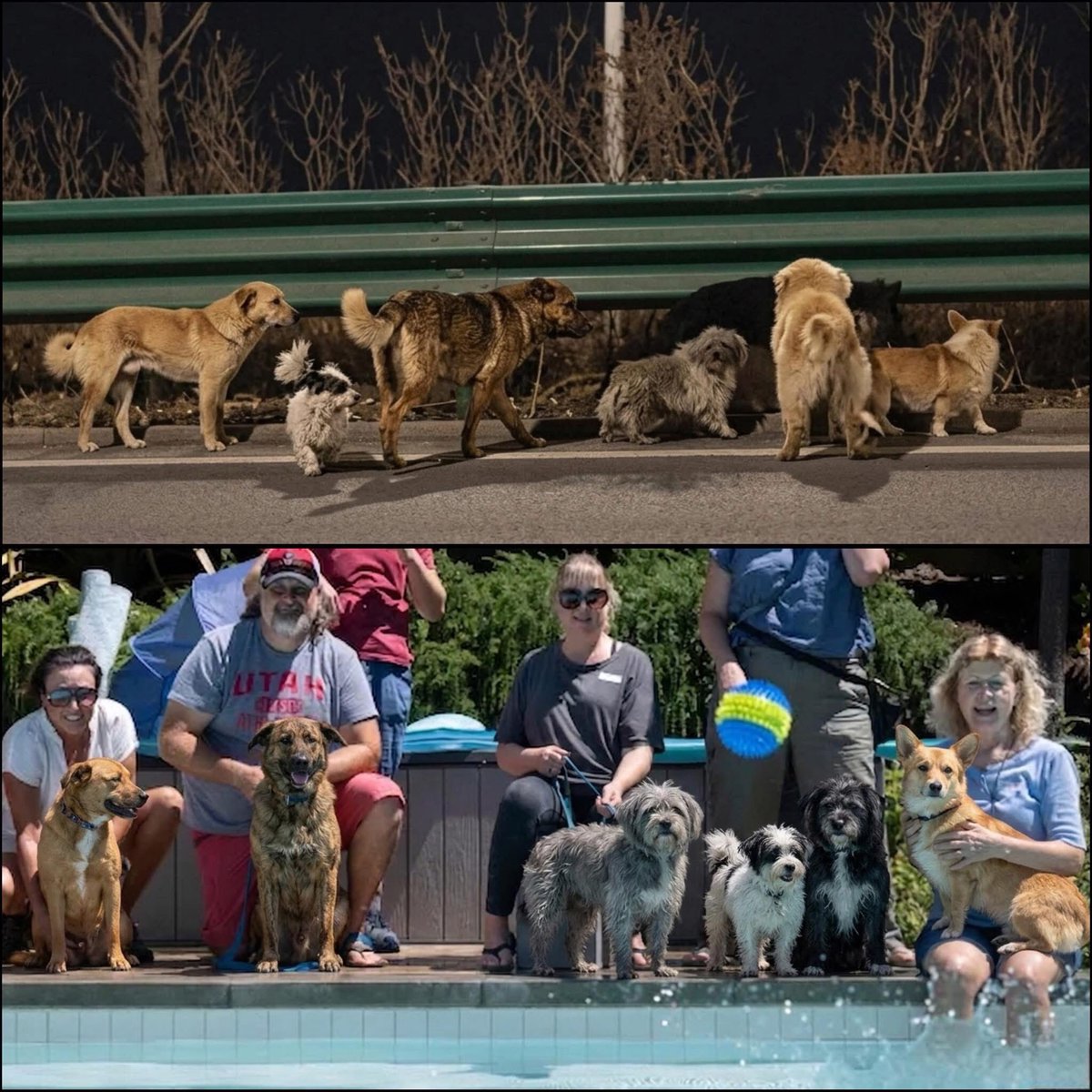 𝗧𝗶𝗺𝗲𝗹𝗲𝘀𝘀 𝗠𝘂𝘀𝗶𝗰 ✨🎵 tweet media