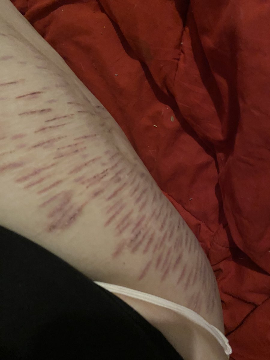 cam of shtwt tweet media